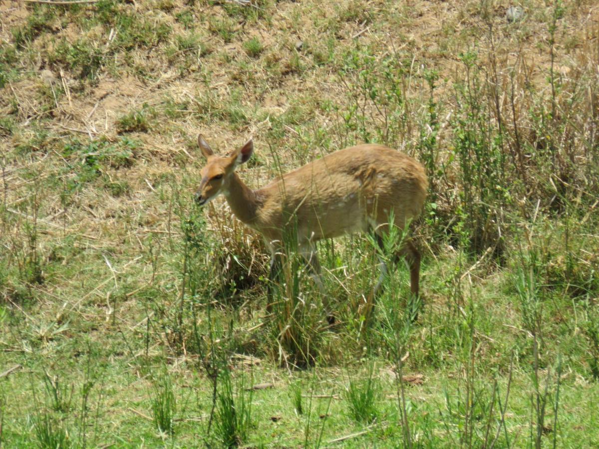 Riverview Malalane