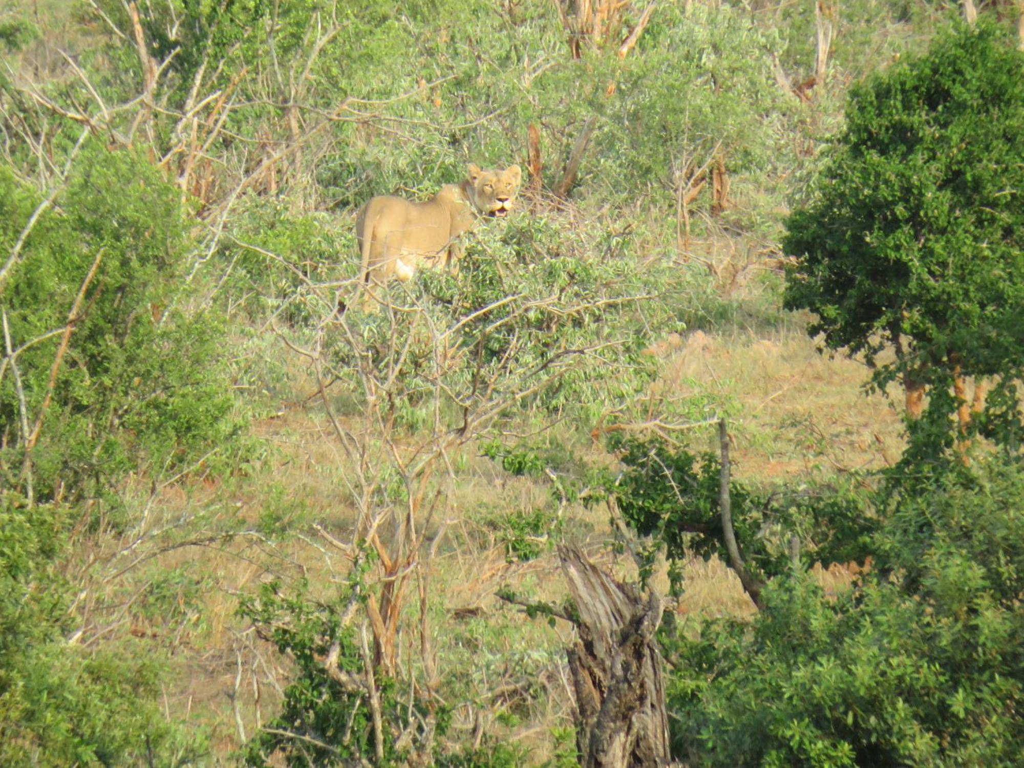 Riverview Hotel Malalane